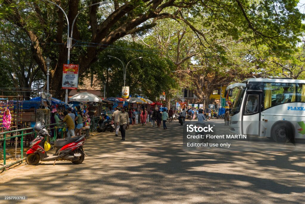 digital marketing Kochi, vibrant city